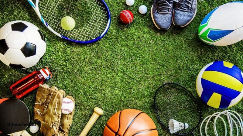 Shhuocheddu Sports - Moneyline, Handicap, and Over/Under Shhuocheddu Sports - Moneyline, Handicap, and Over/Under